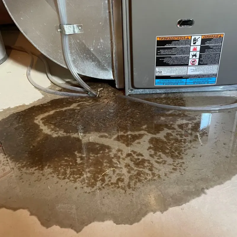 Pipe Burst and Leak Restoration in Hazel Green, AL